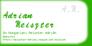 adrian meiszter business card