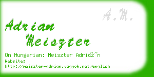 adrian meiszter business card